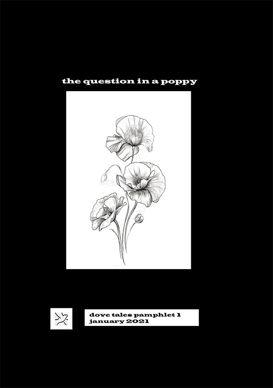 The Question In A Poppy By Jean Rafferty